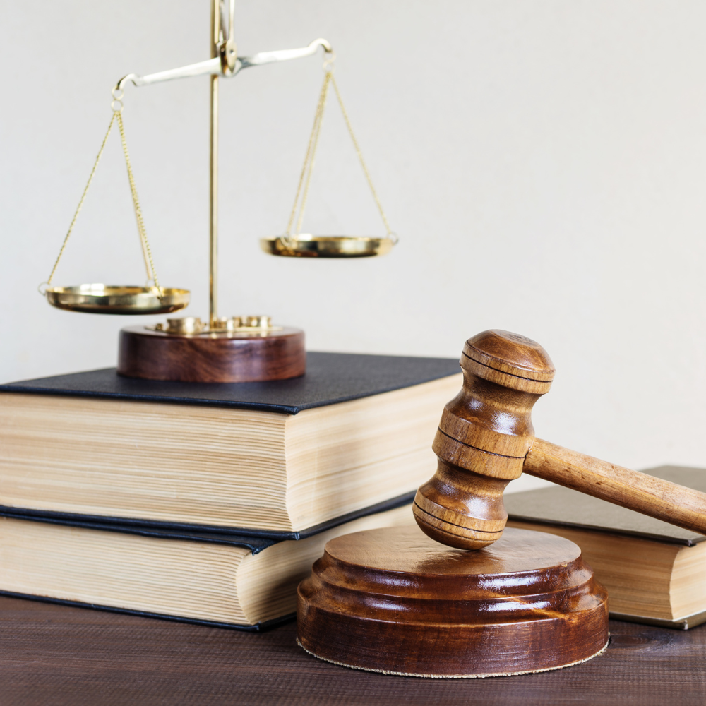 Domestic Court Documents