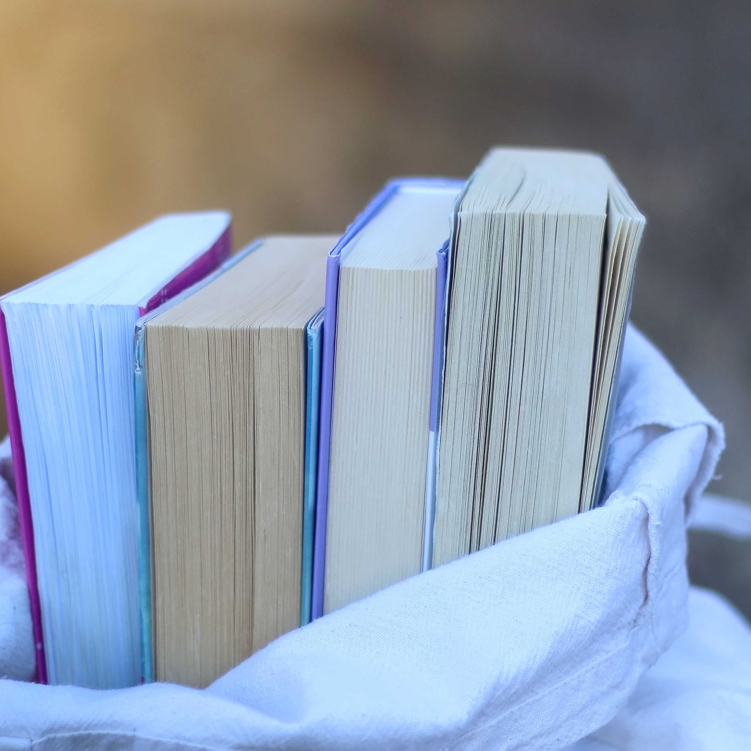Books in a bag